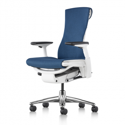 Embody Chair (Blue and white)